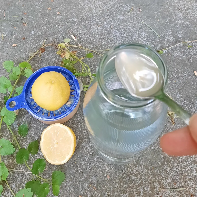 Mit einem Teelöffel wird Zitronensaft in das Wasser gegeben. Nebenbei sieht man eine Zitronenpresse, 2 Zitronenhälften und Gundelrebenreben