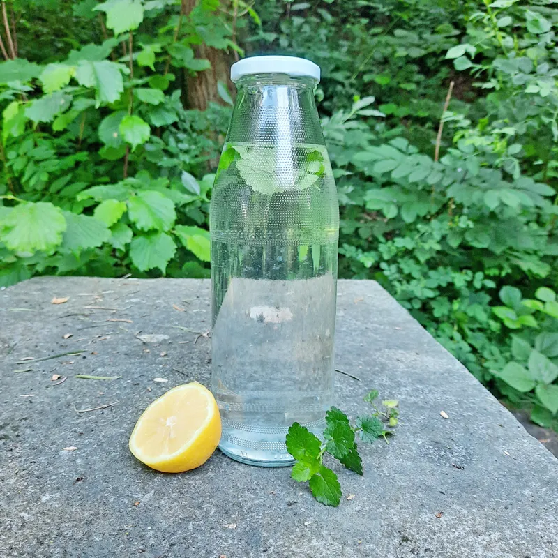 Glasflasche mit angesetztem Gundelreben-Reinigungsdrink. Die Flasche stetht auf einem Steintisch in der Natur.