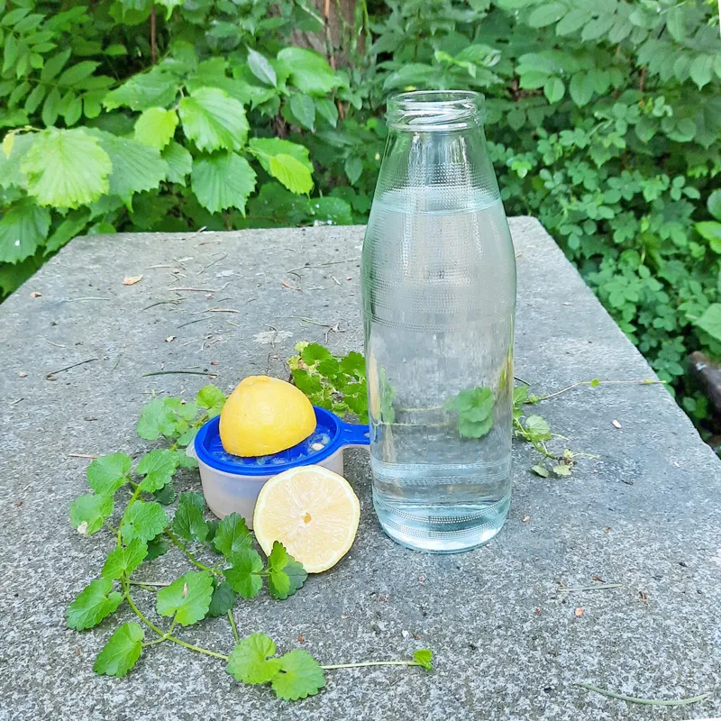 Auf einem Tisch mit einer Steinplatte in der Natur steht eine Glasflasche mit den Zutaten für den Reinigungsdrink: Gundelrebe, aufgeschnittene Zitrone, Wasserflasche gefüllt mit Wasser