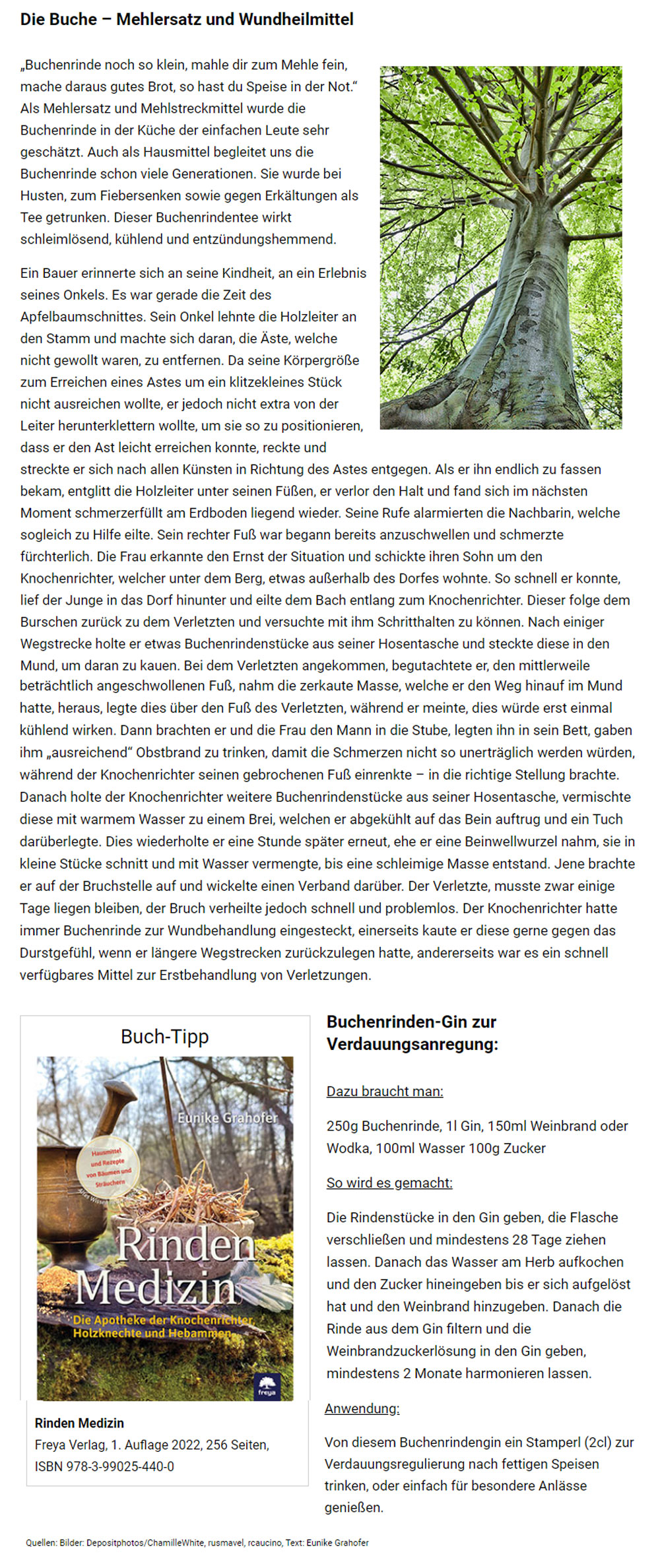 Auszug Bericht Ecowoman Buchenrinde Mehlersatz