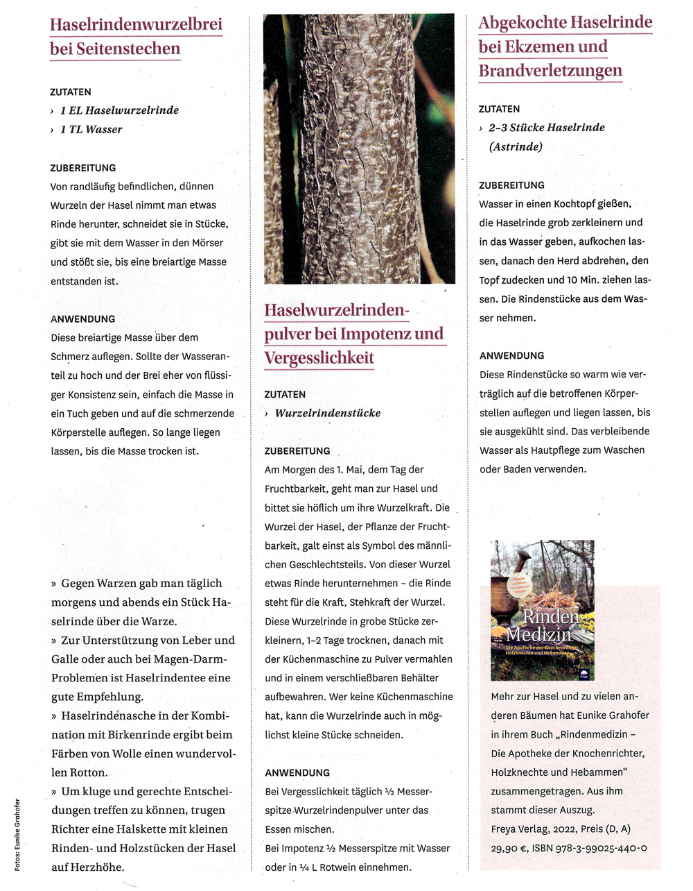 Seite 2 Presseartikel Naturapotheke. Inhalt: Rezepte Haselrindenwurzelbrei, Haselwurzelrindenpulver und abgekochte Haselrinde