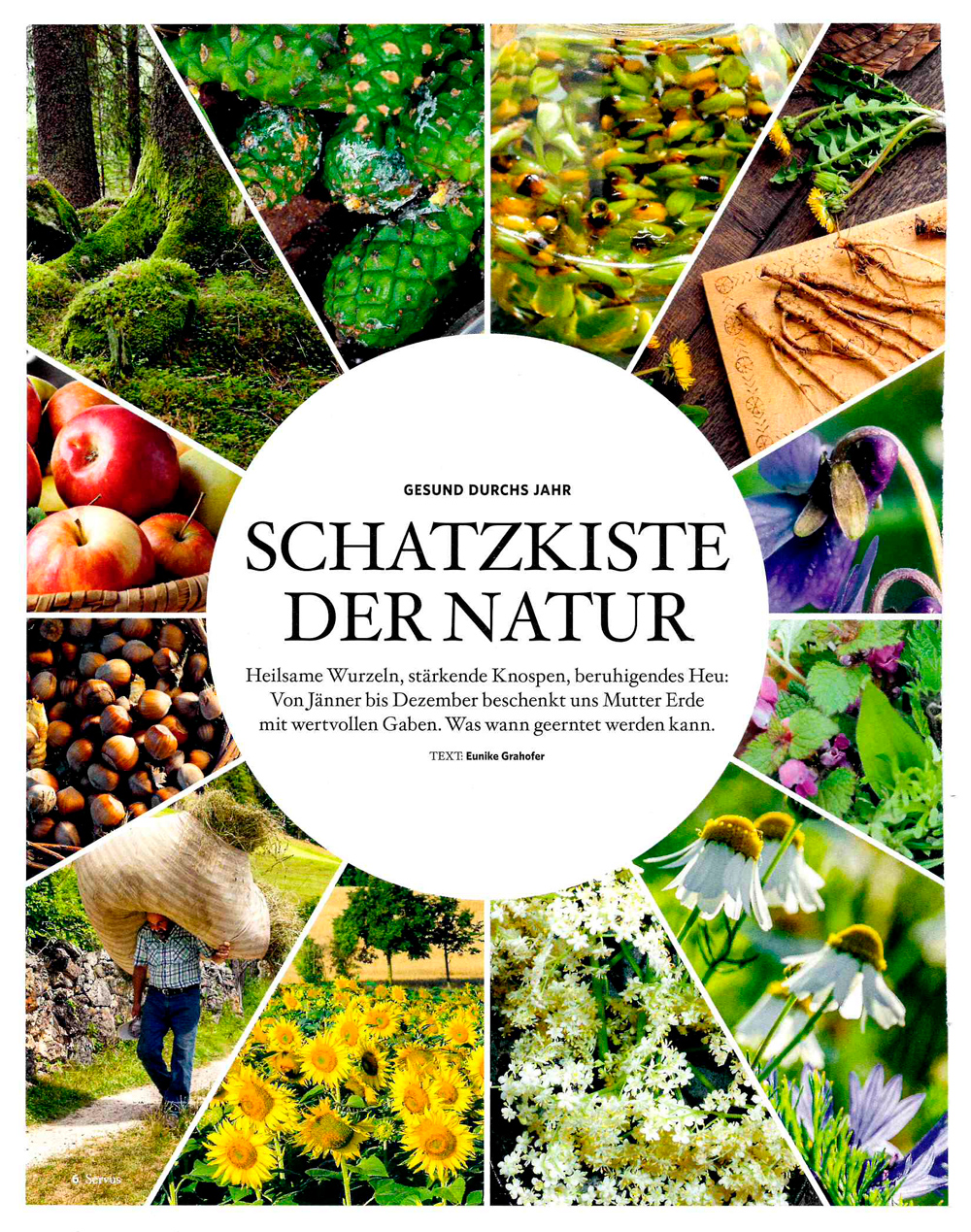 Titelblatt Artikel Servus Magazin Naturwissen