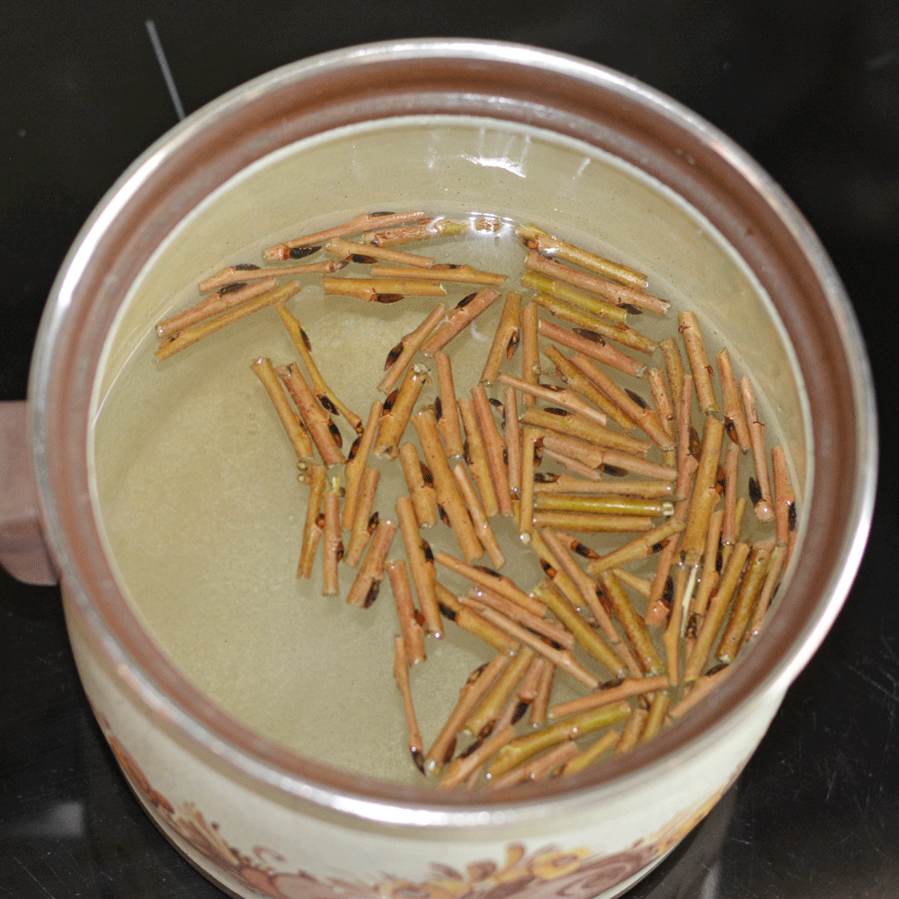 Weidenstücke in Wasser zur Herstellung des Hausmittels bei Erkältung