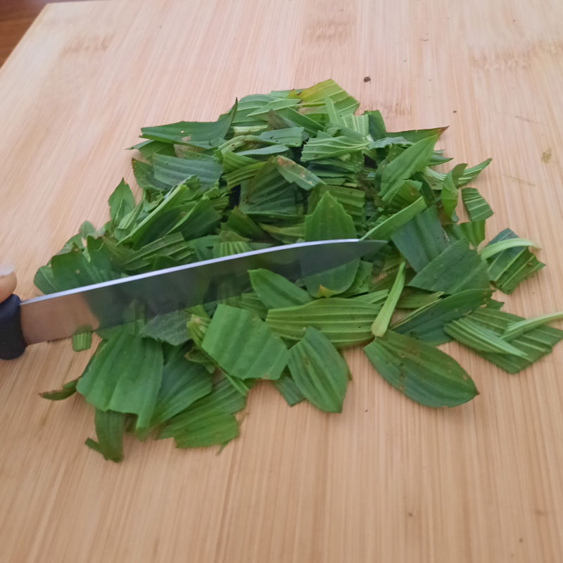 Spitzwegerichblätter werden grob mit einem Messer geschnitten