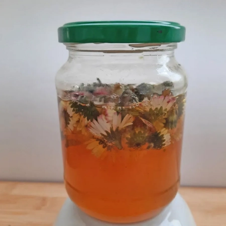 Schraubglas gefüllt mit Ansatz des Gänseblümchenoxymels