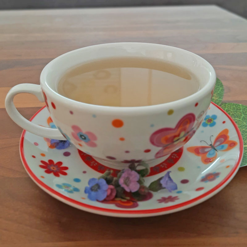 Teetasse mit Untersetzer und Lungenkrautblüten. In der Tasse befindet sich frisch gebrauter Lungenkrauttee