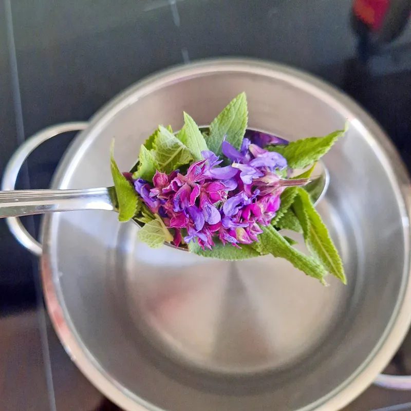 Esslöffel gefüllt mit Blättern und Blüten des Wiesensalbeis über einem Edelstahltopf mit kochendem Wasser.
