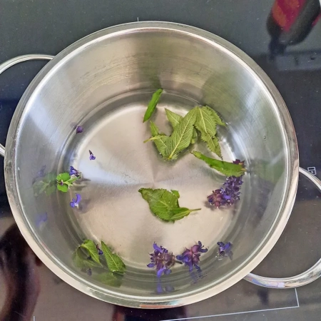 Edelstahltopf mit Wasser und Blättern und Blüten des Wiesensalbeis. Aus diesen wird das Hausmittel bei Zahnfleischproblemen hergestellt.