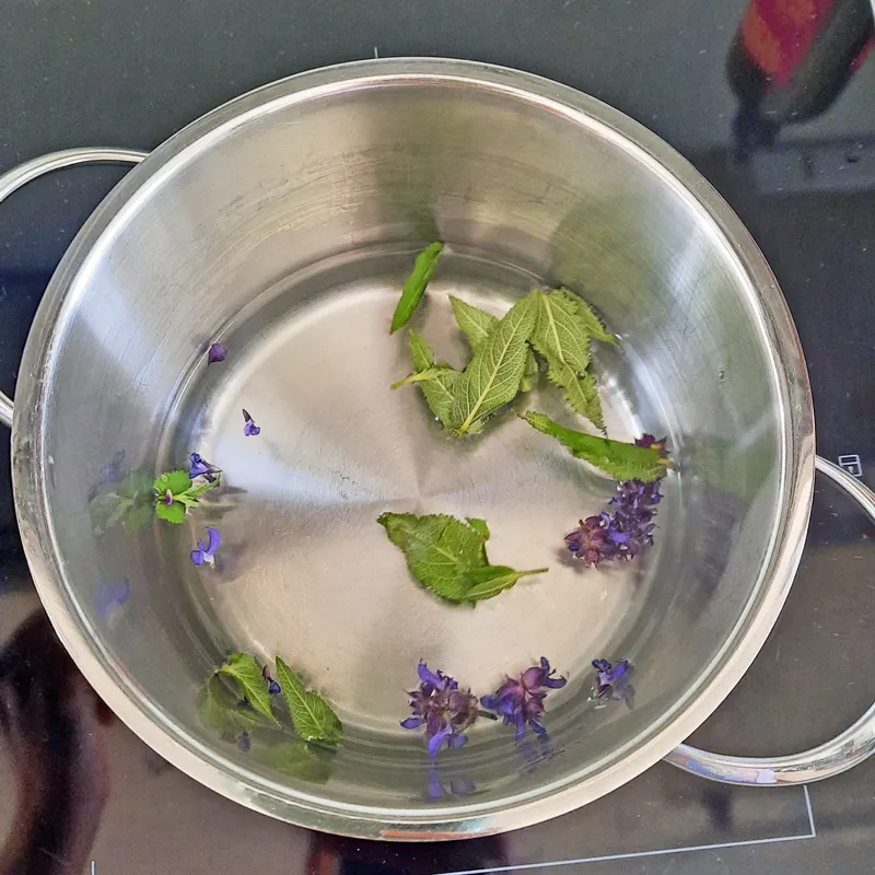 Edelstahltopf mit Wasser und Blättern und Blüten des Wiesensalbeis. Aus diesen wird das Hausmittel bei Zahnfleischproblemen hergestellt.